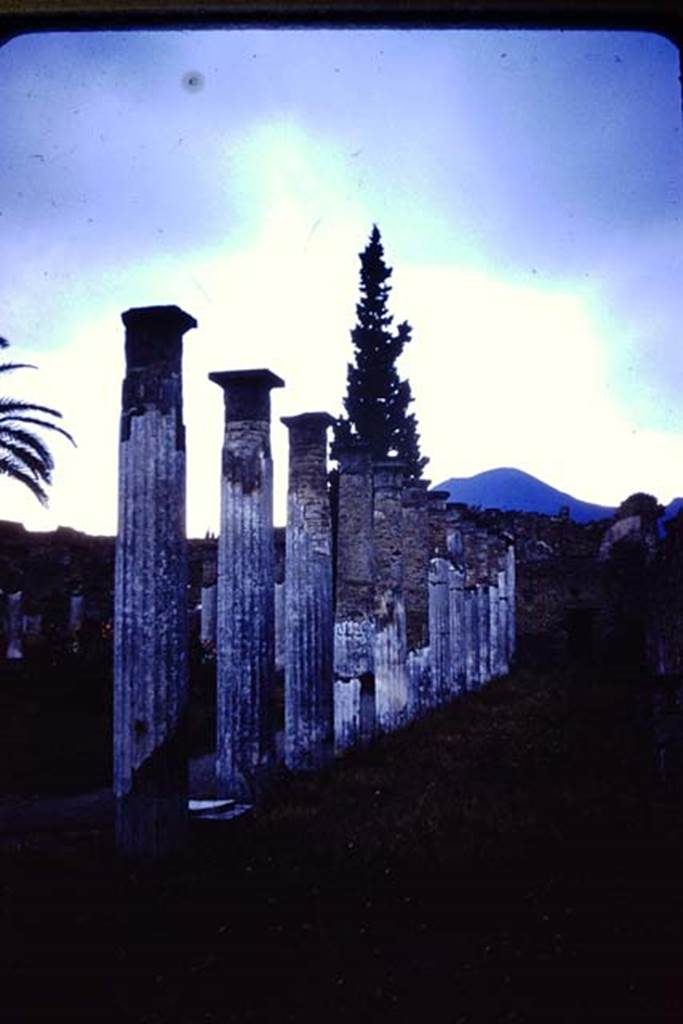 VI.12.2 Pompeii. pre-1937-39. Looking north-east across the rear peristyle. Photo courtesy of American Academy in Rome, Photographic Archive. Warsher collection no. 1421
