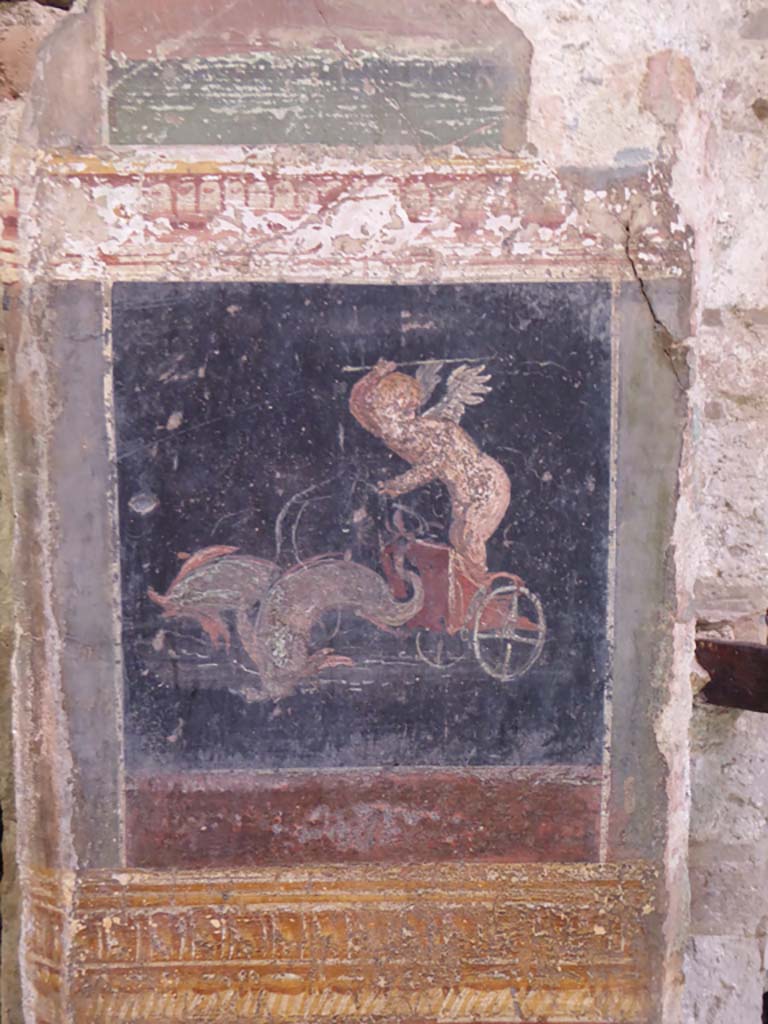 VI.15.1 Pompeii. January 2017. 
Detail of painted panel with cupid on chariot pulled by two dolphins, on south wall of atrium between oecus and doorway leading to VI.15.27.
Foto Annette Haug, ERC Grant 681269 DÉCOR.
