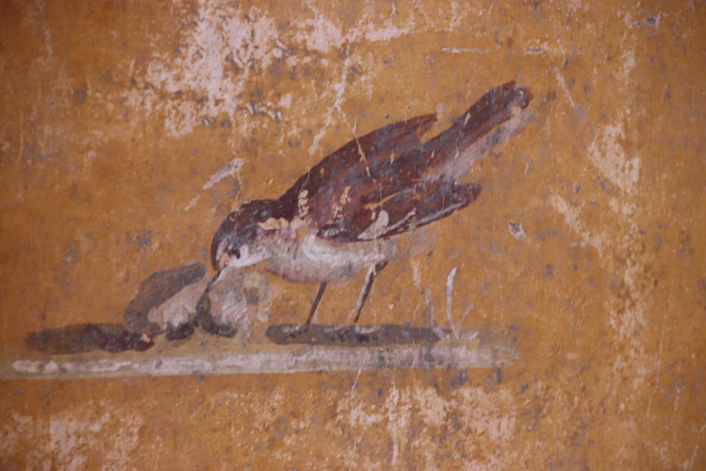 VI.15.1 Pompeii. Pompeii. October 2023. 
Detail of painted bird from panel at west end of north wall of bedroom on left of main entrance. Photo courtesy of Klaus Heese.
