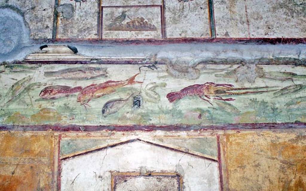 VI.15.1 Pompeii. October 2001. Frieze of fishes and marine life, on north wall. Photo courtesy of Peter Woods.
