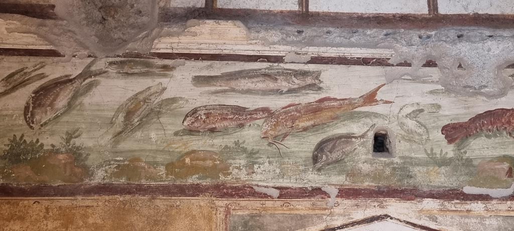 VI.15.1 Pompeii. January 2023. 
Detail from fish frieze at north end of east wall of bedroom, on left of main entrance. Photo courtesy of Miriam Colomer
