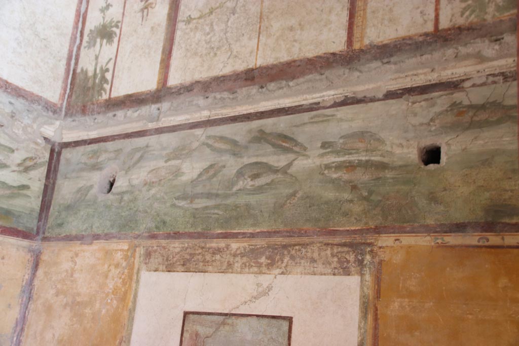 VI.15.1 Pompeii. October 2023. Cubiculum (d), frieze of fish from upper south wall, from doorway. Photo courtesy of Klaus Heese.