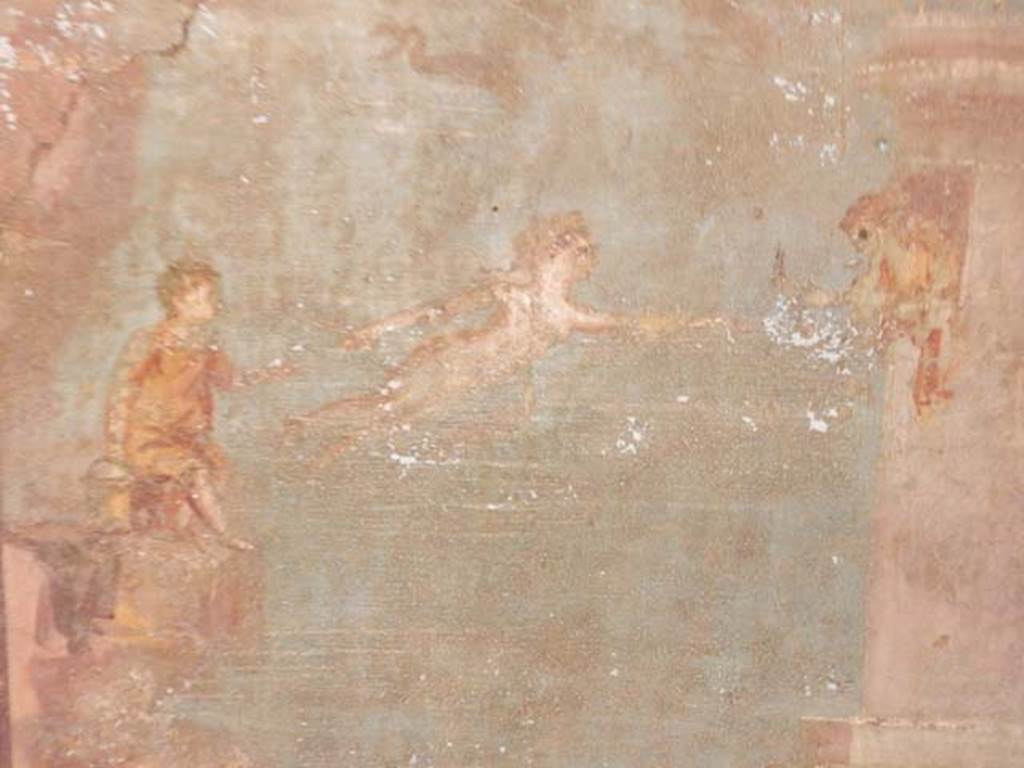 VI.15.1 Pompeii. May 2017. South wall, detail from painting of Leander and Hero. 
Photo courtesy of Buzz Ferebee.
