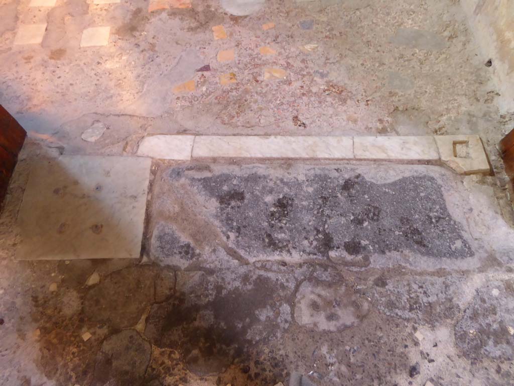 VI.15.1 Pompeii. January 2017. Threshold and flooring between atrium and oecus.
Foto Annette Haug, ERC Grant 681269 DÉCOR.
Next to the lava threshold there is a marble slab, fixed with four pivots on which the multi-leaf door was gathered. 
The marble threshold was inserted into the previous cocciopesto floor with polychrome marble flakes and tiles.
See Carratelli, G. P., 1990-2003. Pompei: Pitture e Mosaici. Roma: Istituto della enciclopedia italiana, p. 486.

