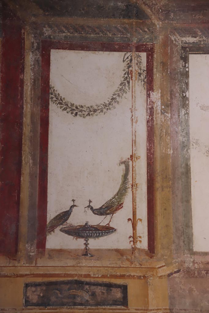 VI.15.1 Pompeii. October 2023. 
Detail of painted peacocks from upper east wall at north end. Photo courtesy of Klaus Heese.
