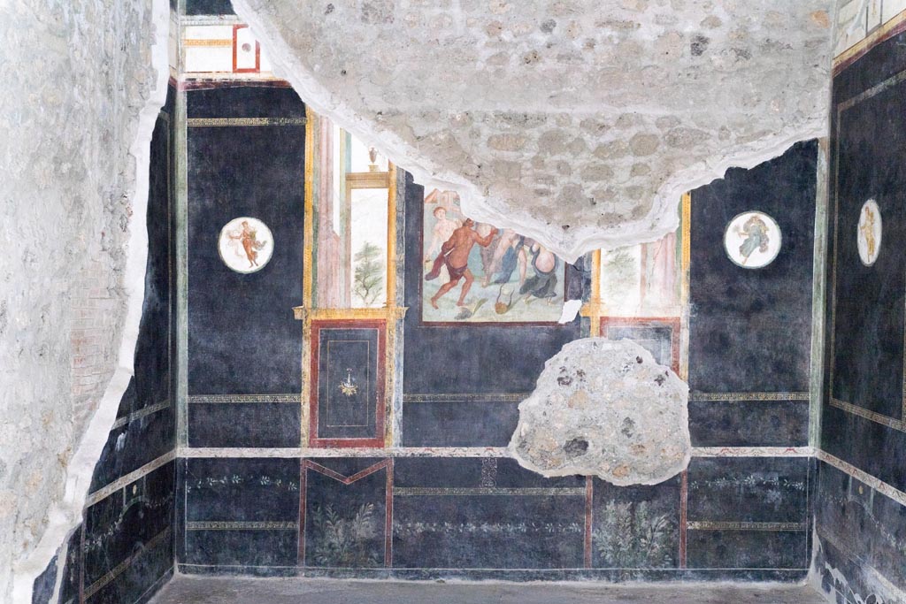 VI.15.1 Pompeii. March 2023. East wall of black triclinium “t” with lower part of painting of Achilles discovered on Skyros (Scyros). 
Next to the central painting are representations of trees. In the side panels are medallions with robed flying figures.
In the zoccolo are plants and garlands. Photo courtesy of Johannes Eber.

