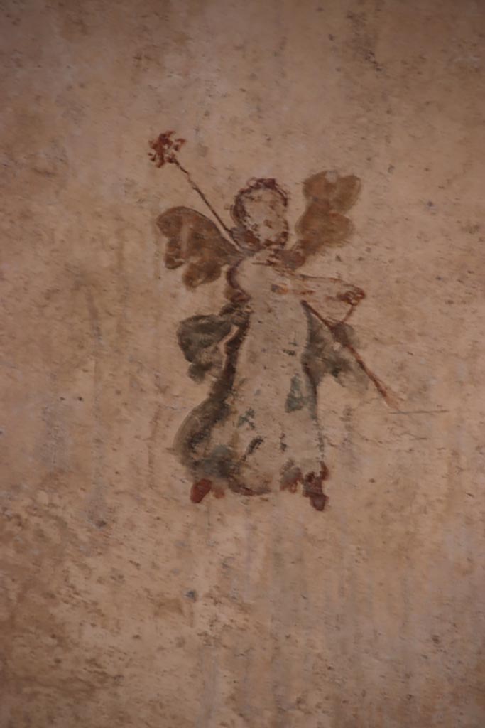 VI.15.1 Pompeii. October 2023. 
White cubiculum “u”, painted cupid from panel at north end of east wall. Photo courtesy of Klaus Heese.
