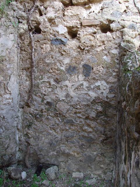 VI.15.5 Pompeii. March 2009. Room 1, south side of recess in atrium.