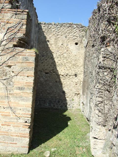 VI.15.5 Pompeii.  March 2009.  Room 5. North wall.