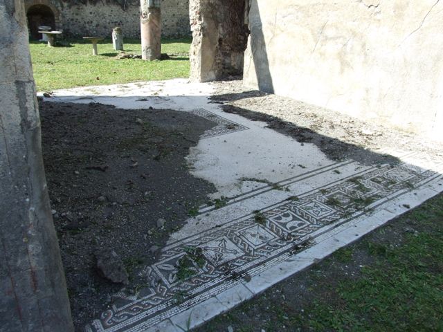 VI.15.5 Pompeii. March 2009. Garden area, 11, West wall, looking north west from south portico.