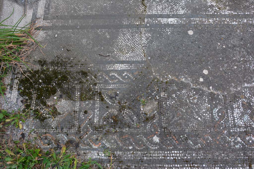VI 15 5 Pompeii. March 2019. Tablinum 7, coloured mosaic threshold in tablinum, detail starting from the south (left) side.
Foto Annette Haug, ERC Grant 681269 DCOR.
