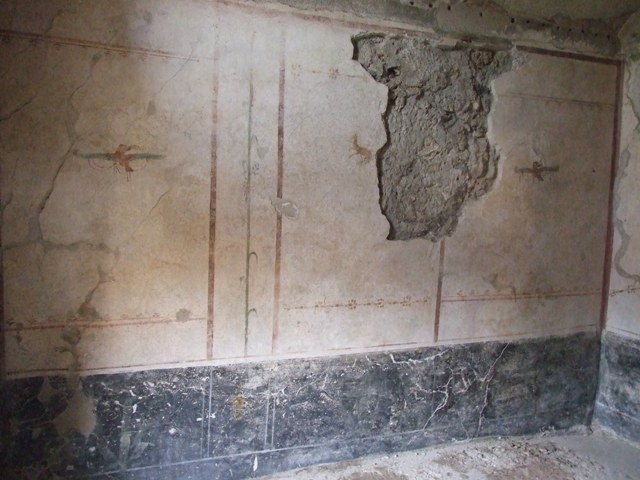 VI.15.8 Pompeii. May 2010. Painted panel of sea creatures on west wall of tablinum.