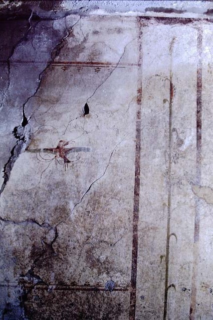 VI.15.8 Pompeii. May 2010. Detail from north wall