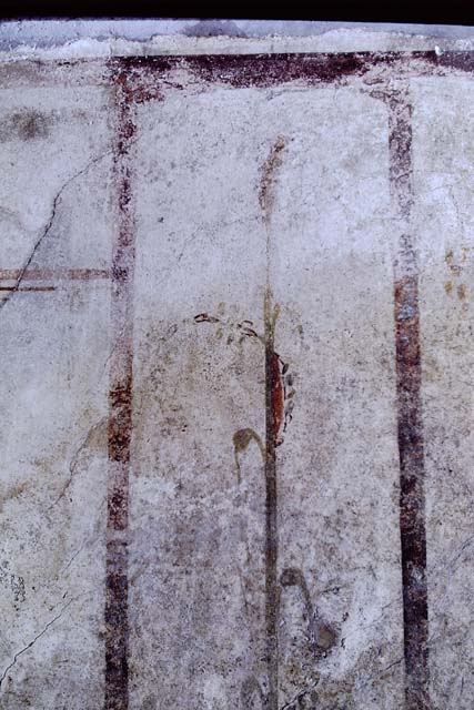 VI.15.8 Pompeii. May 2010. Detail of painted plant on north wall of tablinum.