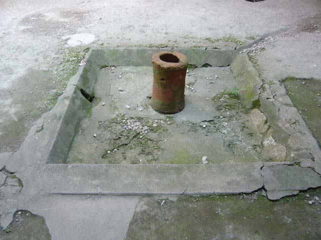 VI.16.15 Pompeii. December 2006. South wall of small tablinum, or niche. Painting of winged creature.