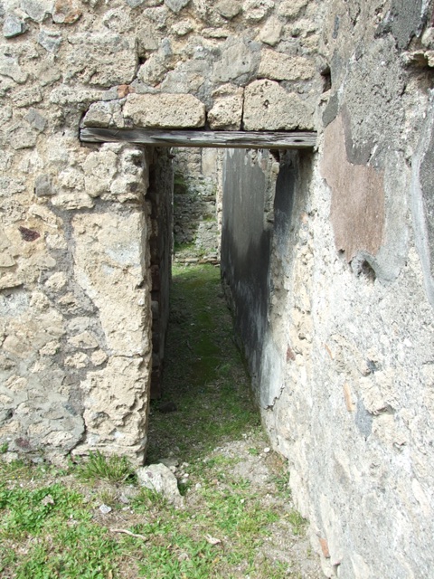 VI.16.27 Pompeii.  March 2009.  Room 6, South west corner.