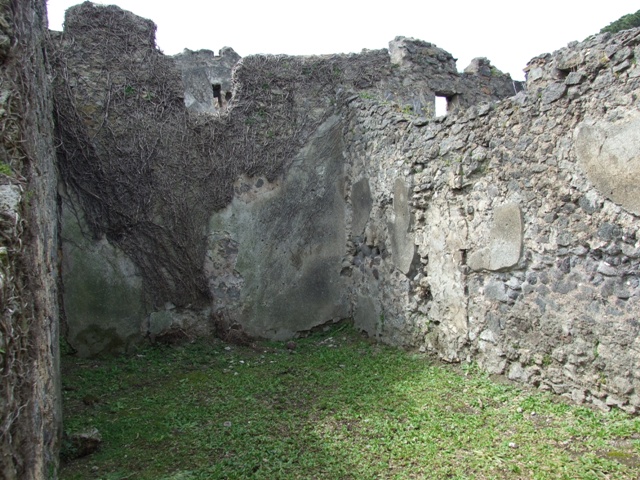 VI.16.27 Pompeii.  March 2009.  West wall of Peristyle garden.