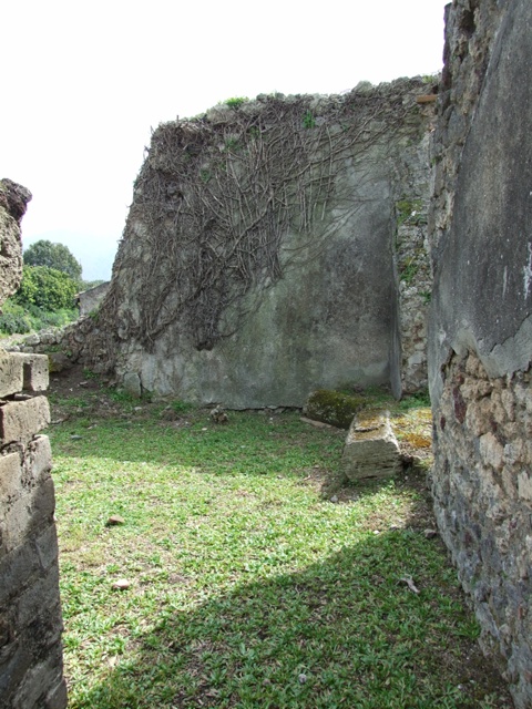 VI.16.27 Pompeii. March 2009. South east corner of garden, looking into Room 8, through remains of window.