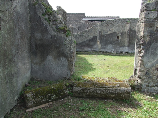 VI.16.27 Pompeii. March 2009. Room 8, Oecus. South wall.