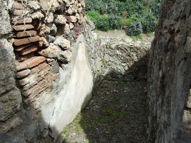 VI.16.27 Pompeii. March 2009. Room 9, Storeroom. South wall.