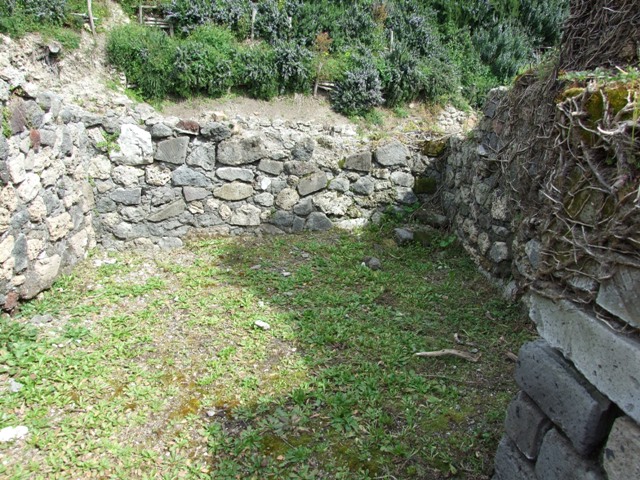 VI.16.27 Pompeii. March 2009. Room 12, West wall.