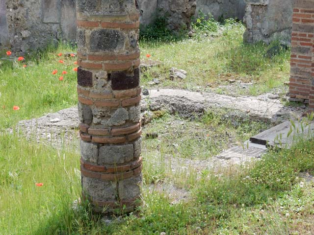 VI.16.27 Pompeii.  March 2009.  Room 13, North wall.