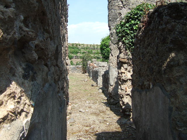 VI.16.27 Pompeii.  March 2009.  Remains of plaster below Niche on east wall.