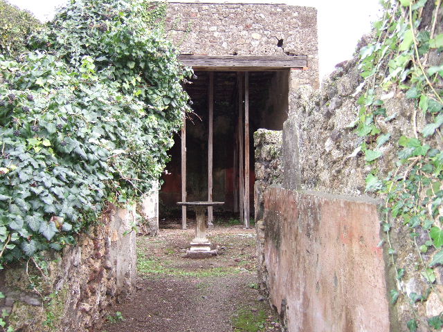 VI.16.28 Pompeii.  March 2009.  Room 1, South west corner.