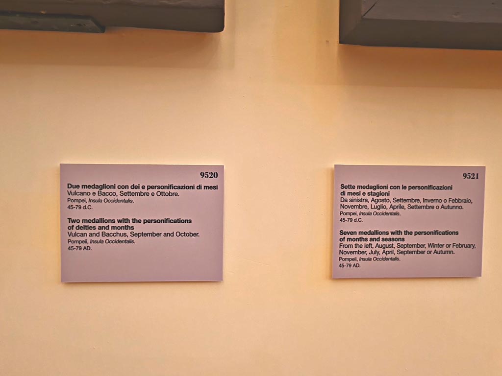 Pompeii Insula Occidentalis. October 2023. Description cards for inv. 9520 and 9521. Photo courtesy of Giuseppe Ciaramella. 