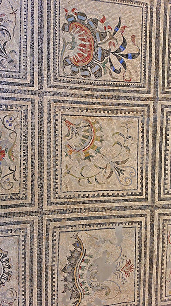 VI 17.10 Pompeii ?. July 2019. 
Detail from centre of mosaic flooring. On display in Naples Archaeological Museum. Photo courtesy of Giuseppe Ciaramella 
