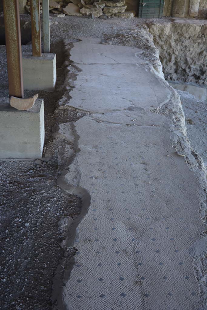 VI.17.41 Pompeii. September 2019. 
Looking south along flooring from portico on west side of rear rooms. 
Foto Annette Haug, ERC Grant 681269 DCOR.

