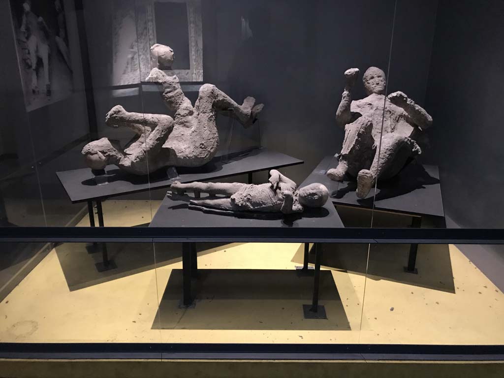 VI.17.42 Pompeii. April 2019. Plaster casts of family from lower area of House of the Golden Bracelet.
On display in Antiquarium.  Photo courtesy of Rick Bauer.
