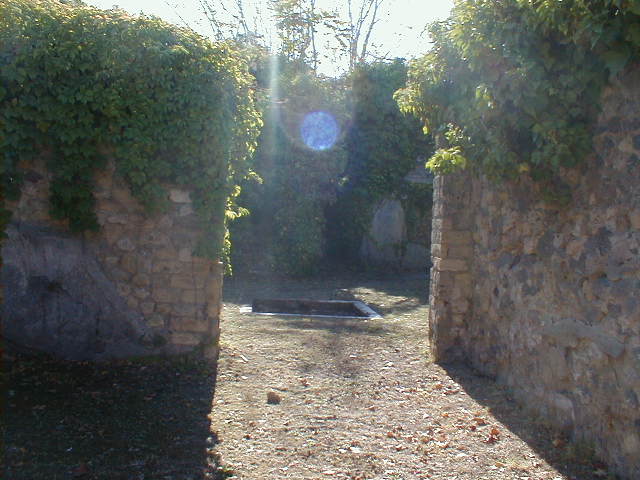 VII.2.6 Pompeii.  House of T. Terentius Neo.  Atrium and Impluvium.