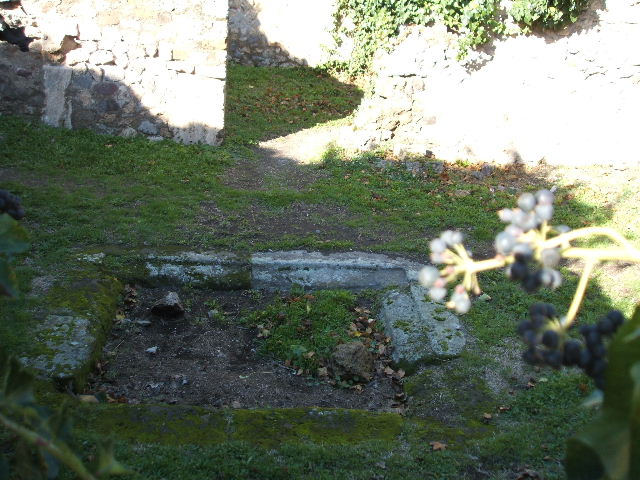 VII.2.14 Pompeii.  March 2009. Tablinum.  South wall.