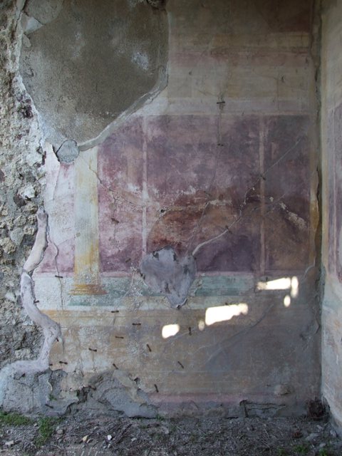 VII.2.16 Pompeii. March 2009. Room 13, north wall with niche.