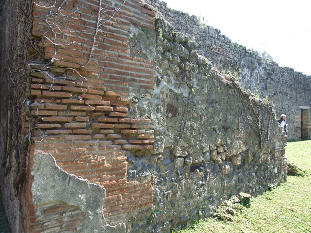 VII.2.18 Pompeii. March 2009. Room 10, west wall of tablinum. South end, with small doorway to room 21, triclinium.