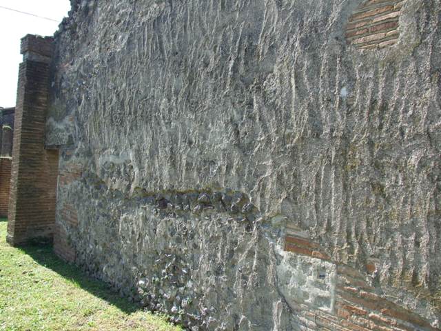 VII.2.18 Pompeii. March 2009. Room 10, east wall of tablinum, south end, with remains of entry into room 11, oecus.