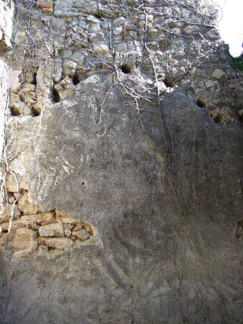 VII.2.18 Pompeii.  March 2009. Room 13.   North wall.