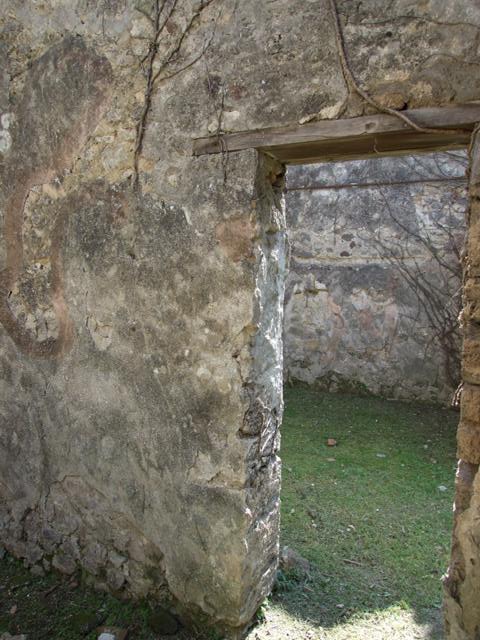 VII.2.20 Pompeii. December 2005. Looking south through tablinum to peristyle.