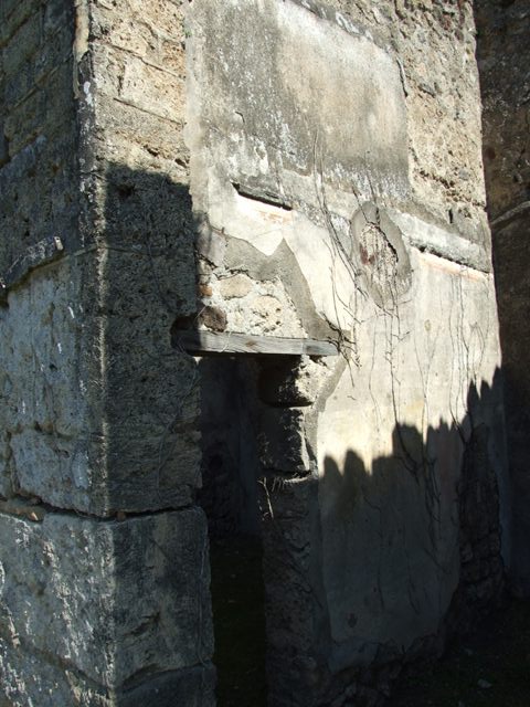 VII.2.20 Pompeii. March 2009. Room 8, west wall of north part of double tablinum.