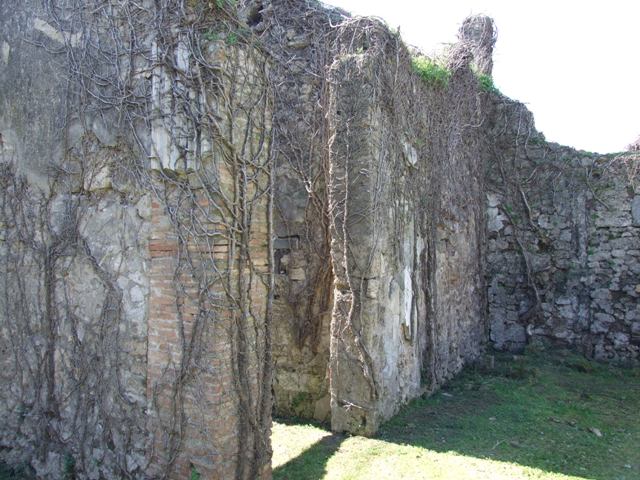 VII.2.20 Pompeii.  March 2009.  Room 9. Corridor.