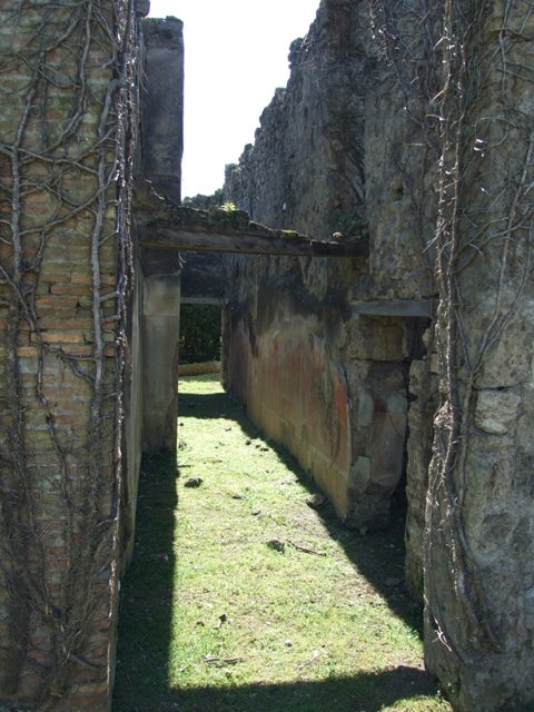 VII.2.20 Pompeii.  March 2009.  Room 9.  East wall of Corridor.  Looking south.