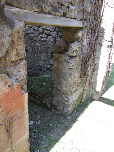 VII.2.20 Pompeii.  March 2009.  Room 11.  Triclinium.  Looking north.
