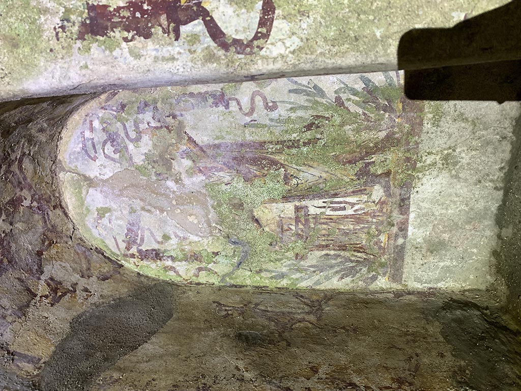 VII.2.20 Pompeii. December 2007. Sacellum.  On the west wall of the room are painted two huge yellow serpents, confronting a small altar. See Boyce above.
