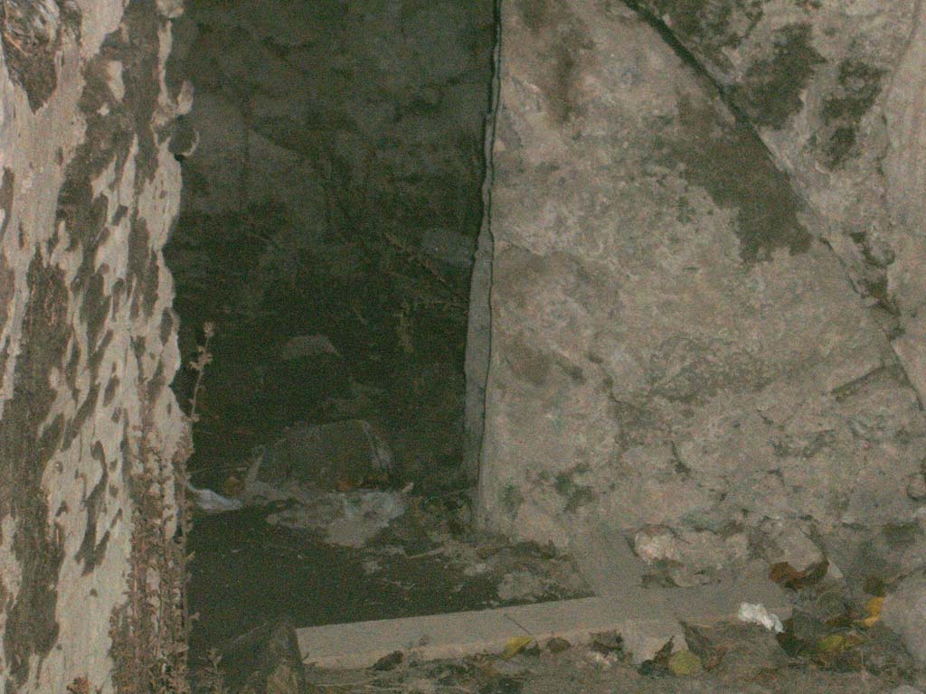 VII.2.23 Pompeii. December 2004. Cellar.