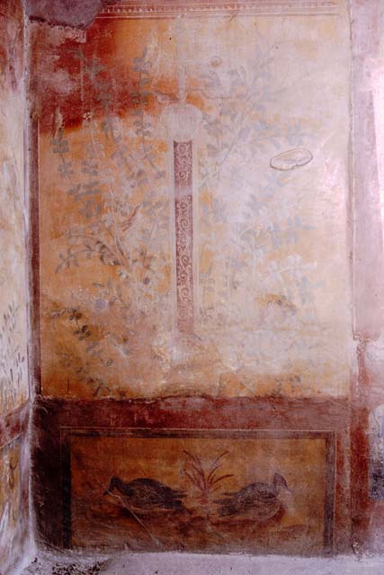VII.2.25 Pompeii. March 2009. Viridarium, upper zone of south end of east wall. Painting of plant and bird.