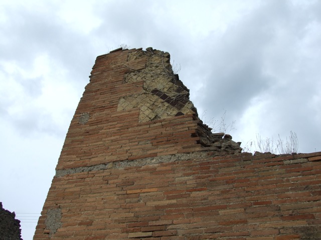 VII.2.34 Pompeii.  May 2005.  North wall.