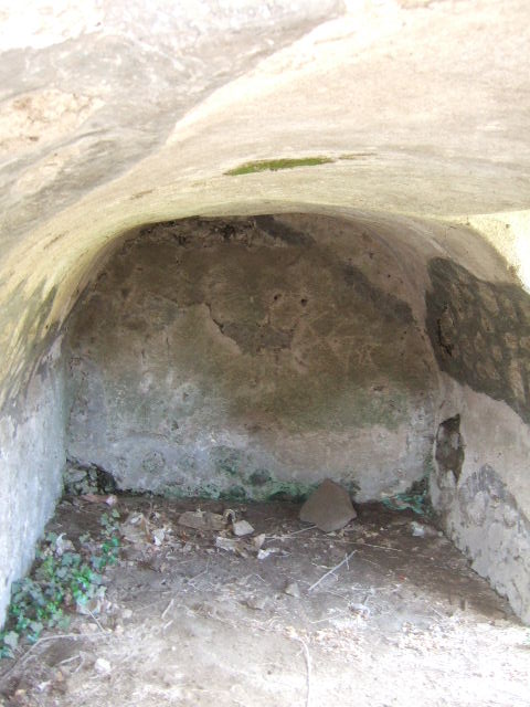 VII.2.41 Pompeii. May 2006. North wall with doorway.