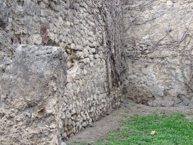 VII.2.50 Pompeii. Shop. December 2007. West and north walls.