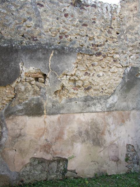 VII.3.29 Pompeii. March 2009. Doorway to room 5, cupboard in north-west corner of atrium.